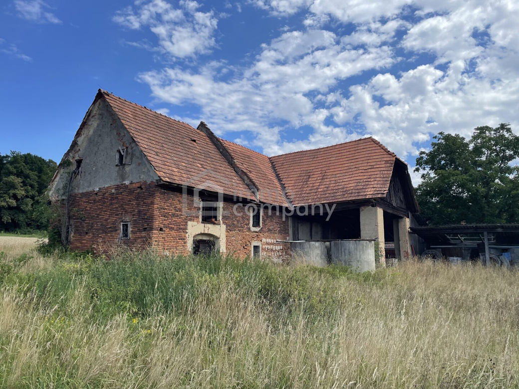 Historisches Anwesen mit rund 8.170 m² Bauland (Dorfgebiet) * Raum für Wohnen, Geschichte und neue Ideen – Foto 10