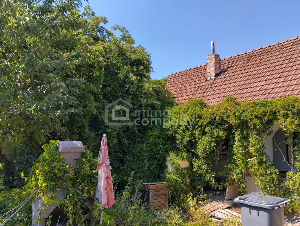 Mistelbach Nähe, Ruhelage, Preis-Sensation! – Foto 4