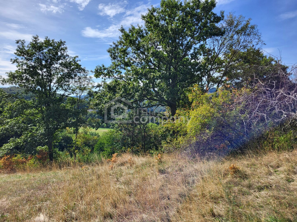 6 ha zusammenhängende Land- und Forstwirtschaft mit weitläufiger Wiesenfläche und Waldanteil – Foto 4