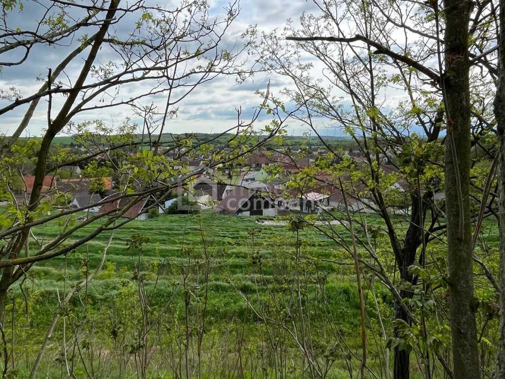 Verborgener Schatz im Reintal - ein Weinviertler Wohnjuwel mit Potenzial – Foto 1