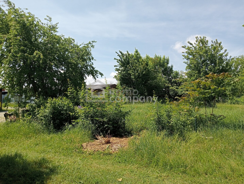 Grundstück am Zicksee im Burgenland – Foto 2