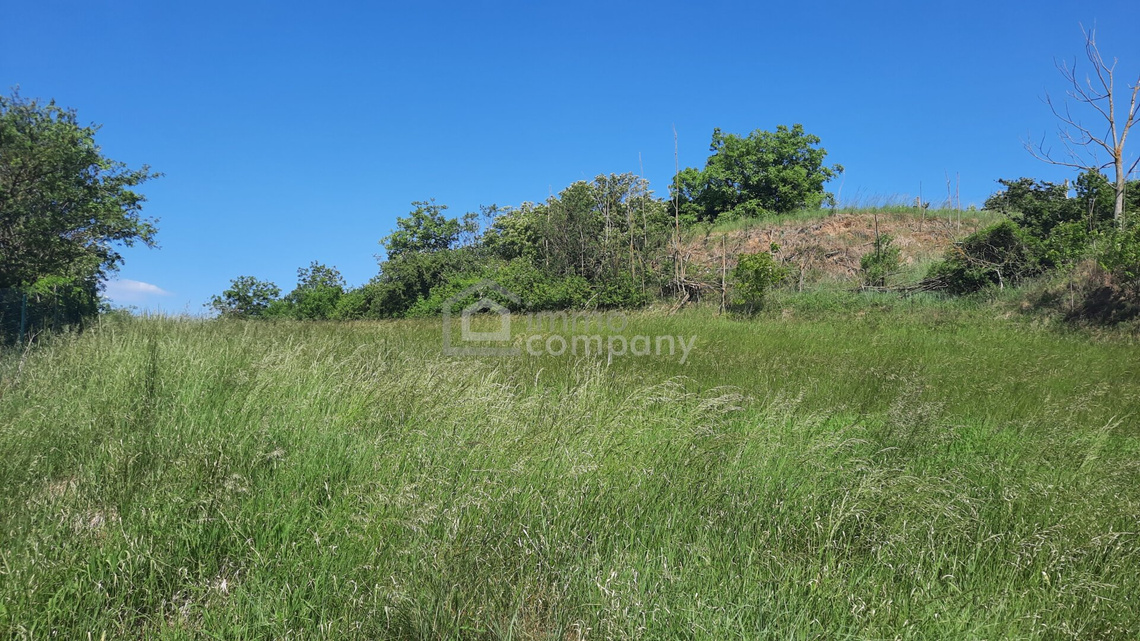 Großer Grund (4392 m²) in Thallern – Foto 4