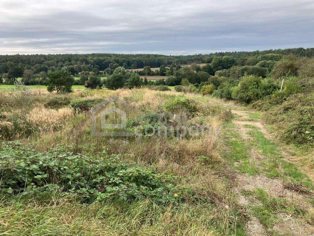 Rarität - Grund mit Teilwidmung Reitplatz/Reitanlage - 10.360 m² um nur 140.000 €! – Foto 4