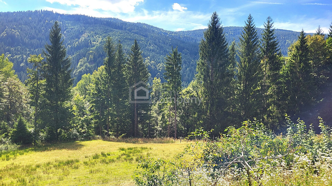 Preisreduktion! Ca. 11.000 m² großes Anwesen direkt am Waldrand mit Panoramablick - fast wie Alleinlage! – Foto 8