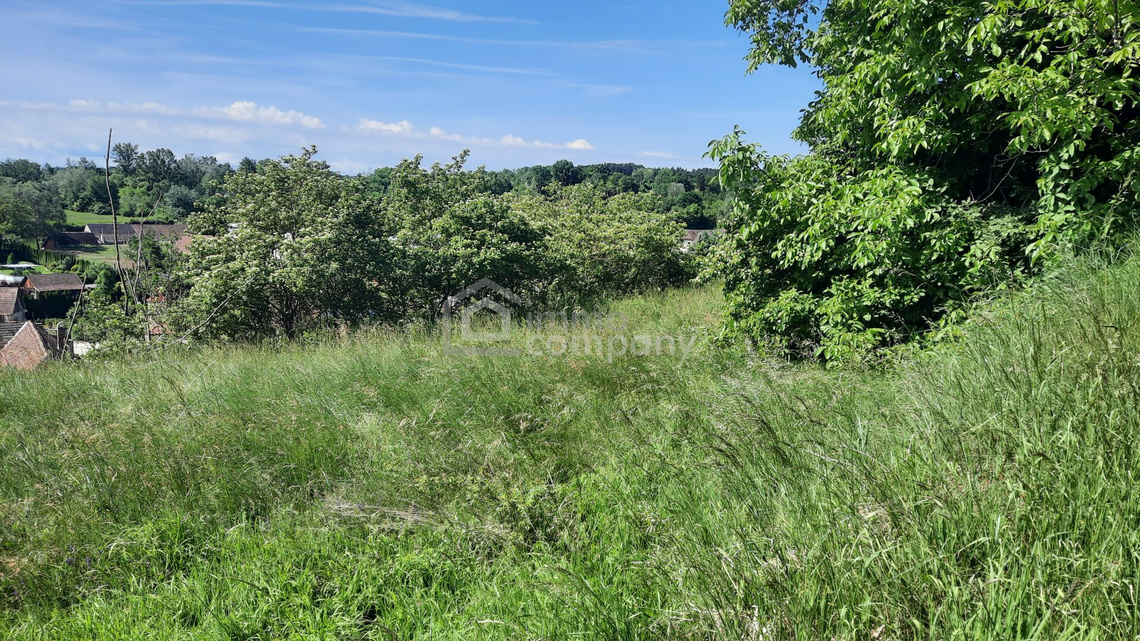 Großer Grund (4392 m²) in Thallern – Foto 2