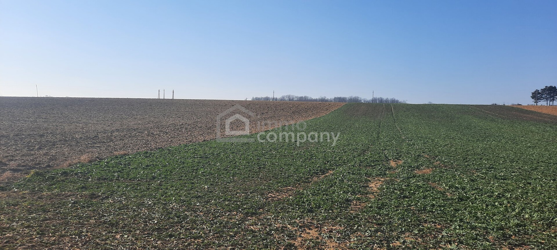 Einmalige Gelegenheit großer Grund mit Bohrrecht Thermalwasser - Unique opportunity to acquire large land near Heviz with drilling rights for thermal water. – Foto 5