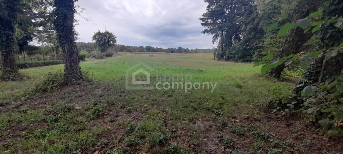 Haus am See – Foto 10