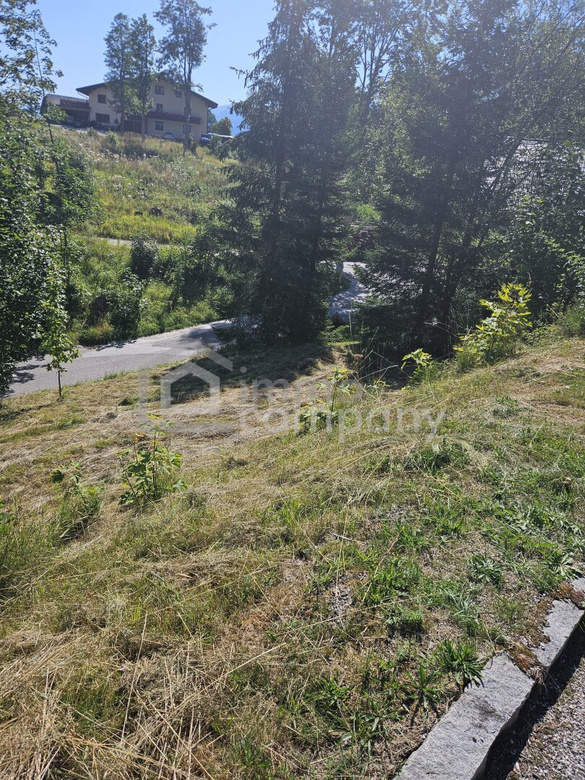 Ramsau am Dachstein: 827 m² Grundstück für Eigenheim, Praxis oder Geschäftslokal – Foto 6