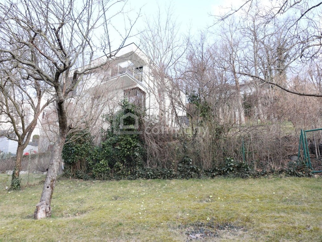 ES GIBT FÜR ALLES EINEN GRUND - wir haben gleich 3 davon… – Foto 5