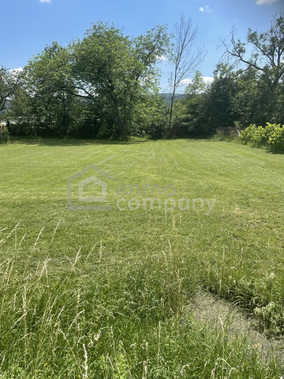 Genau richtig! Nicht zu groß und nicht zu klein. 692 m² Baugrundstück mit altem Nussbaum – Foto 2