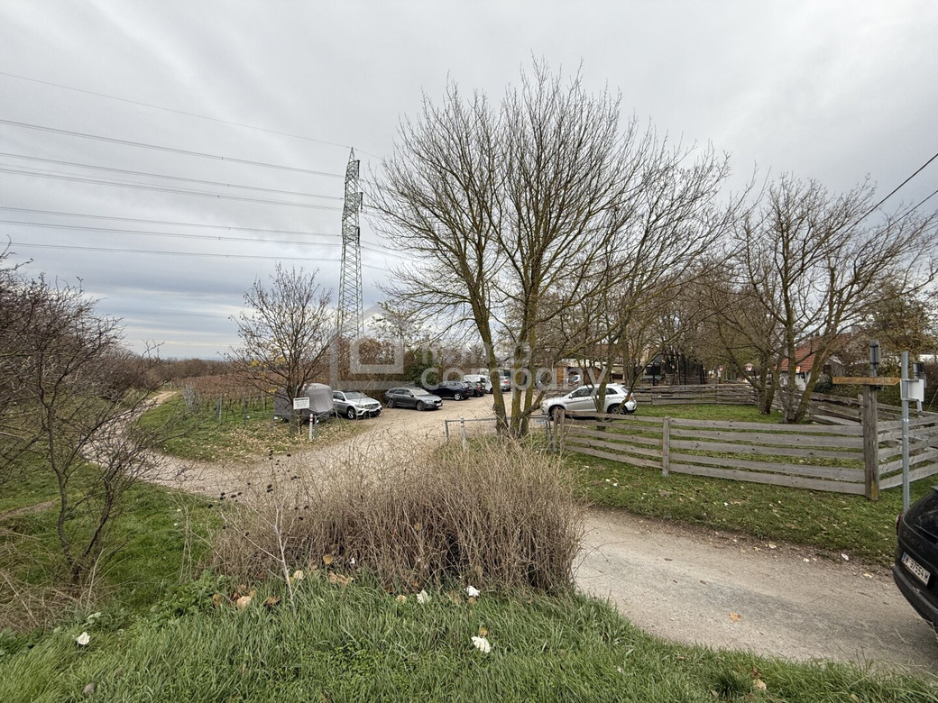 Stammersdorf: Grund zur Nutzung als Gastronomie, Buschenschank, Heuriger - Widmung BB2 – Foto 9
