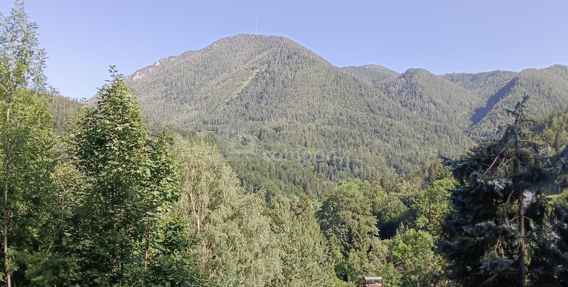 Ihr Grundstück in Hanglage mit absolutem Grünblick – Foto 1