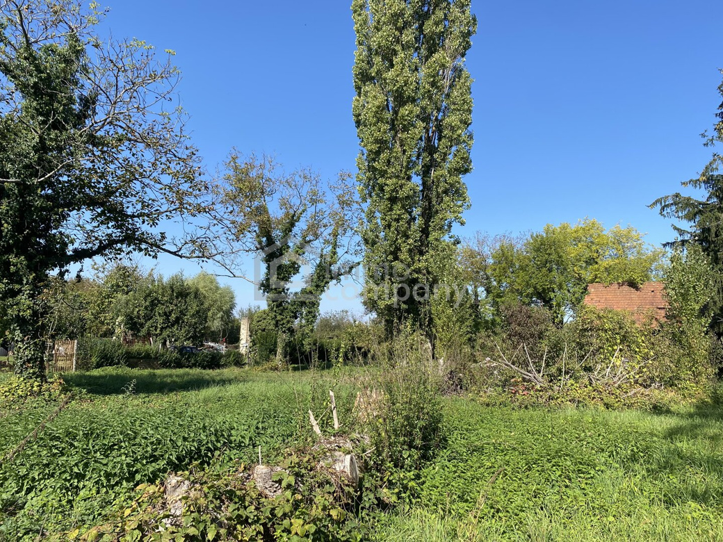 Haus am See – Foto 12