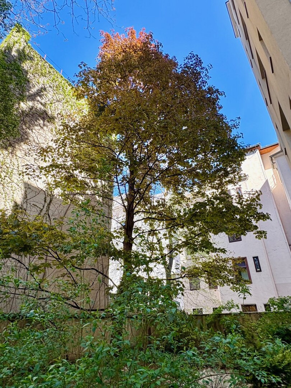 PERFEKT AUFGETEILTE WOHNUNG IM GRÜNEN GRÄTZL - IDEAL FÜR STUDIERENDE ODER WGs – Foto 11