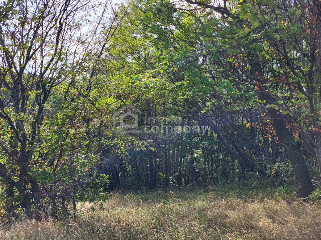 6 ha zusammenhängende Land- und Forstwirtschaft mit weitläufiger Wiesenfläche und Waldanteil – Foto 2