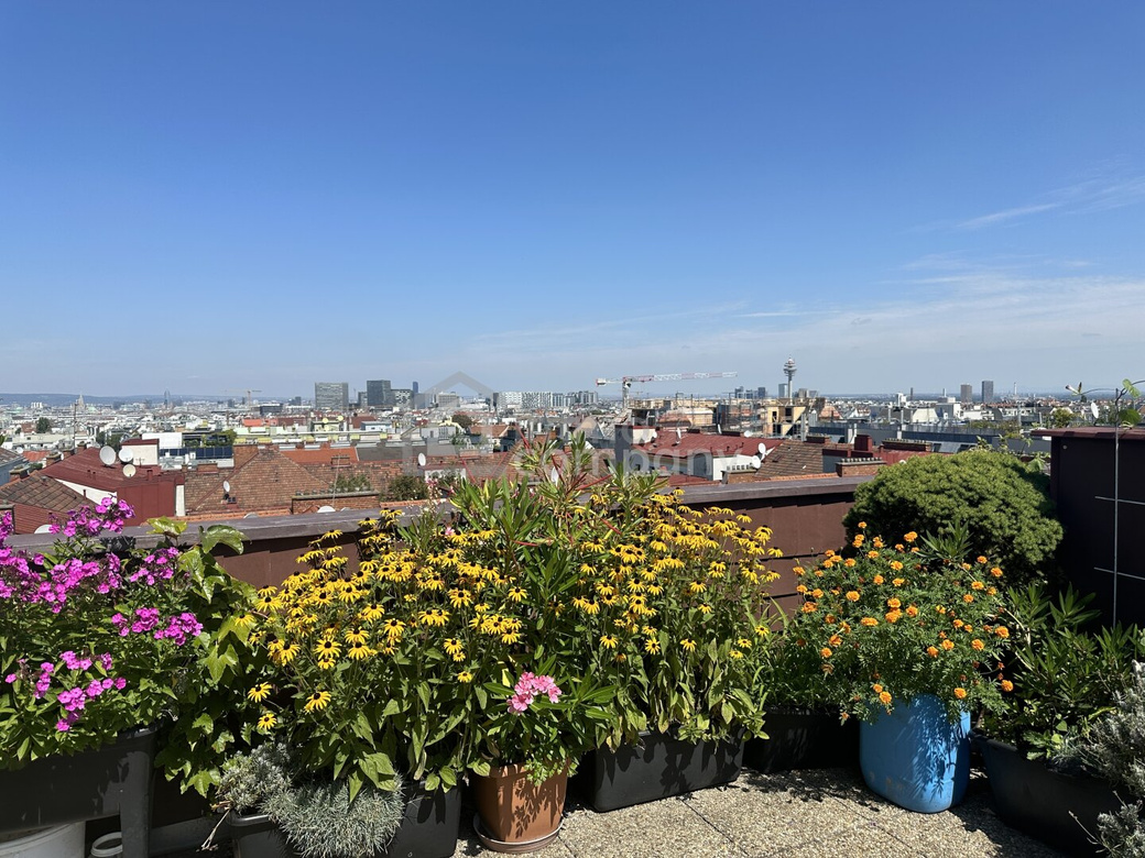 Familienwohnung mit grüner Gemeinschafts-Dachterrasse – Foto 6