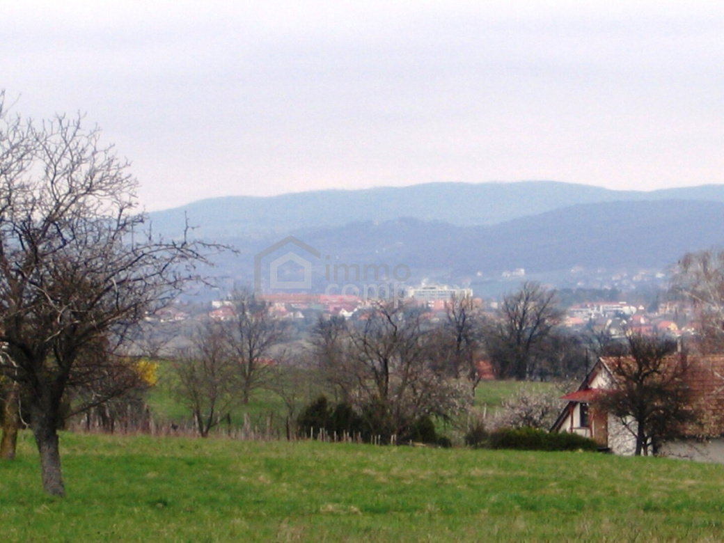 Einmalige Gelegenheit großer Grund mit Bohrrecht Thermalwasser - Unique opportunity to acquire large land near Heviz with drilling rights for thermal water. – Foto 4