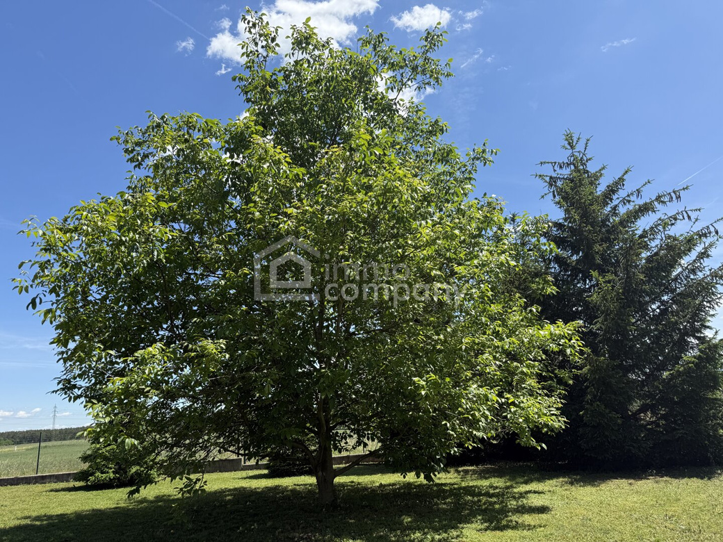 Wohnen mit Weitblick – gepflegtes Einfamilienhaus mit Wellnessbereich, Photovoltaik und 1.268 m² Grundstück – Foto 5