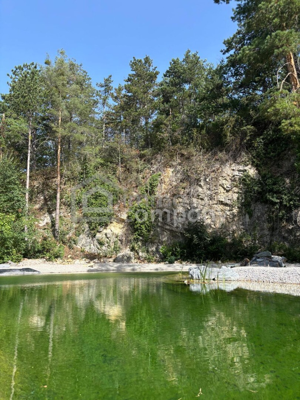 Ein Traum für alle Naturliebhaber! – Foto 11