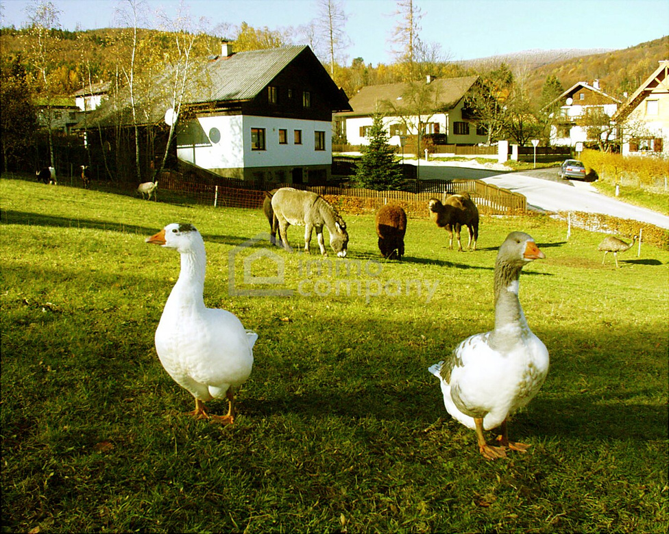 Landgasthof in Sankt Corona am Schöpfl !!! Zur Vermietung ein komplettes Haus inklusive Wohnungen in der beliebten Region Sankt Corona am Schöpfl - Mietpreis: nur 2.500 Euro monatlich – Foto 2