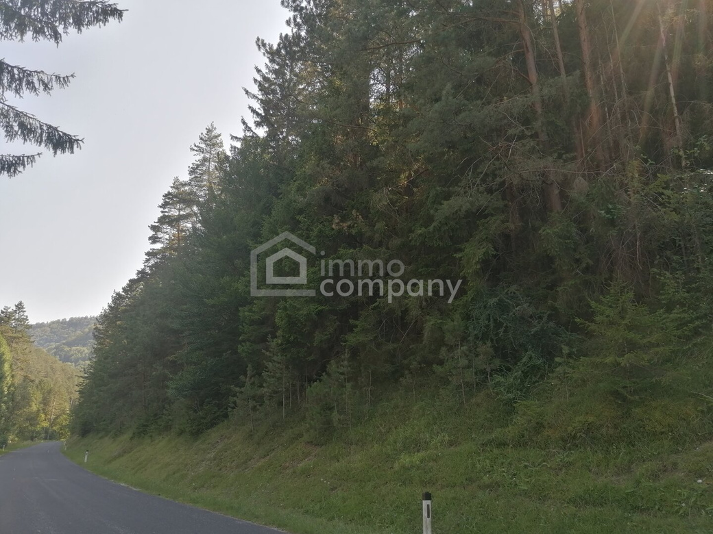 Naturnah wohnen & selbst gestalten - Sanierungsbedürftiges Einfamilienhaus nahe Pernitz – Foto 7