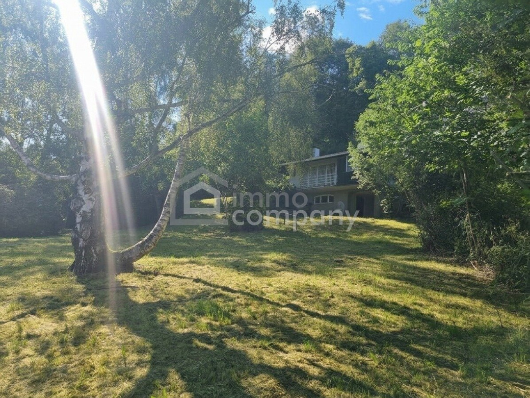 Großes GRUNDSTÜCK mit fast 4.000 m² in Ruhelage mit viel Potential im sonnigen SÜDHANG nahe WIEN – Foto 7