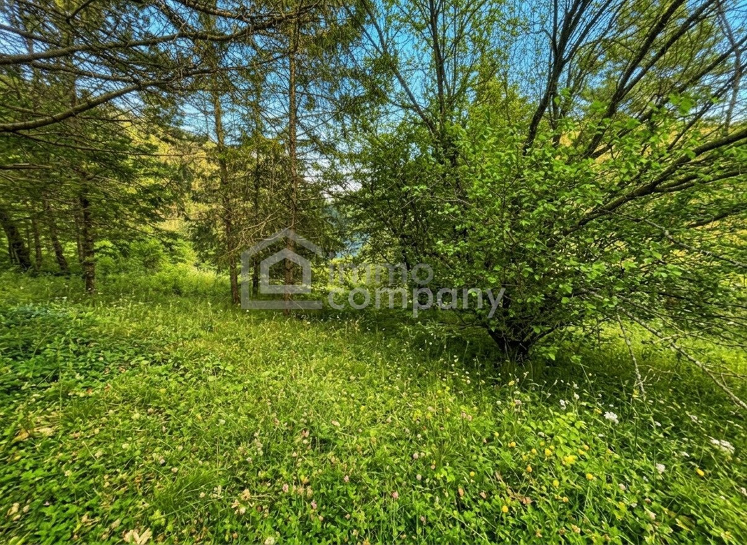 VIEL PLATZ – VIEL GARTEN – VIELE MÖGLICHKEITEN AUF EINER EBENE – Foto 2