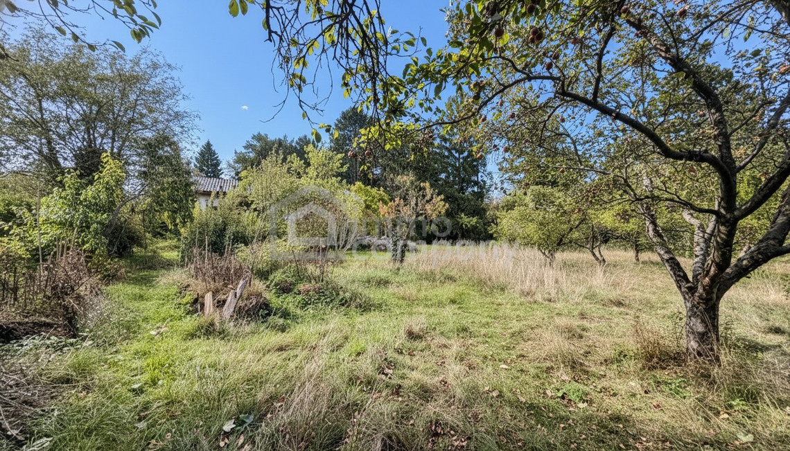 🌿 Wunderschönes Grundstück in bester Lage – vielseitig bebaubar mit zwei Wohneinheiten – Foto 5