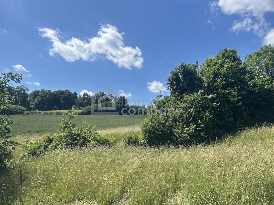4,6 ha Grund - Haus mittendrin - Einzellage - für Selbstversorger perfekt – Foto 4