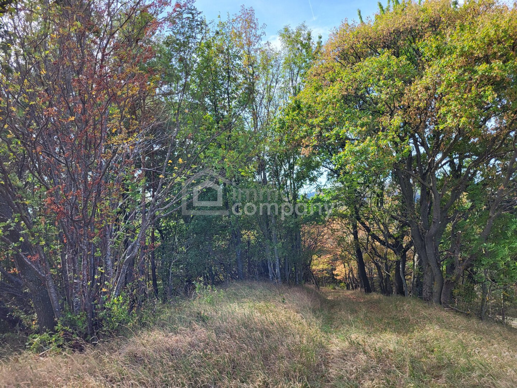 6 ha zusammenhängende Land- und Forstwirtschaft mit weitläufiger Wiesenfläche und Waldanteil – Foto 1