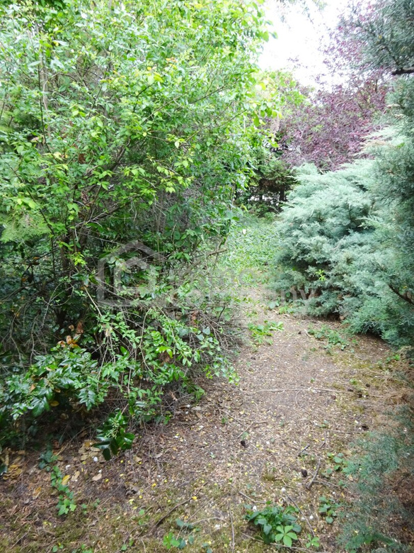 Haus auf Pachtgrund am Zicksee in St. Andrä, 3 Zimmer, 45m²,  98.000 €! – Foto 7