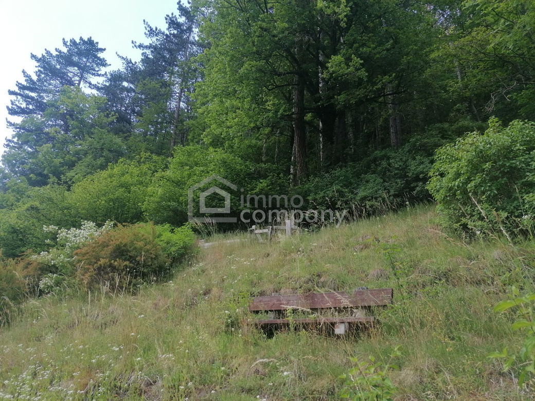 Jetzt investieren, später selbst nutzen - Vermietetes Landhaus in zentraler Lage von Gutenstein – Foto 1
