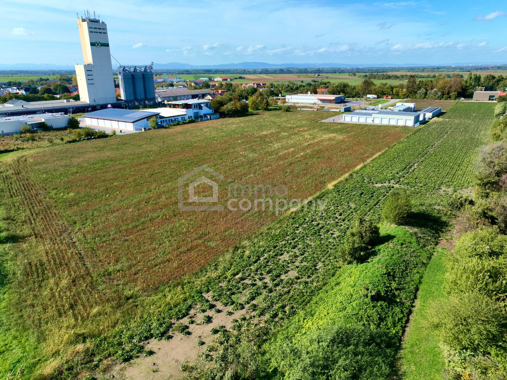 Werde jetzt Teil des Wirtschaftstandortes Mannersdorf/Leithagebirge - Betriebsgrundstücke bis zu 30.496m² stehen zur Verfügung! – Foto 3