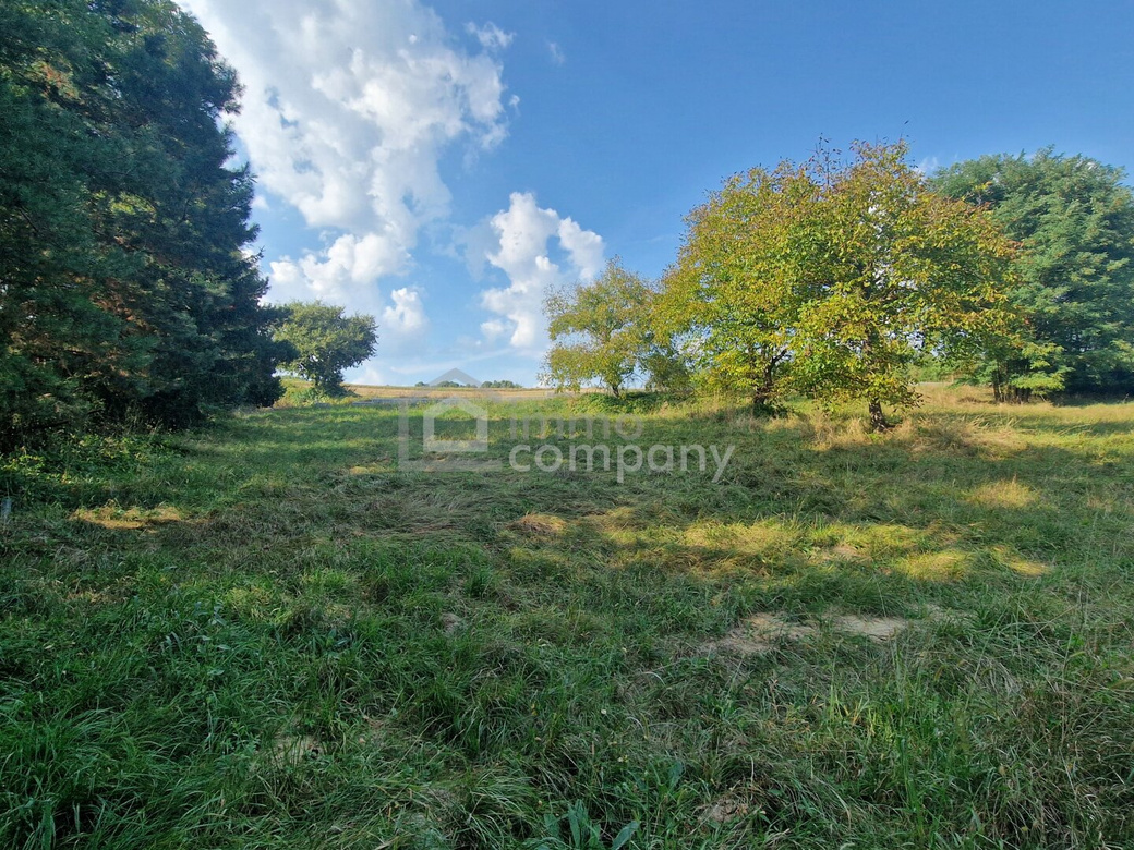 Preisreduktion! Großer Grund - Bauland Misch + GHg – 4134m² Gewerbe + Wohnen + Garten – Foto 3