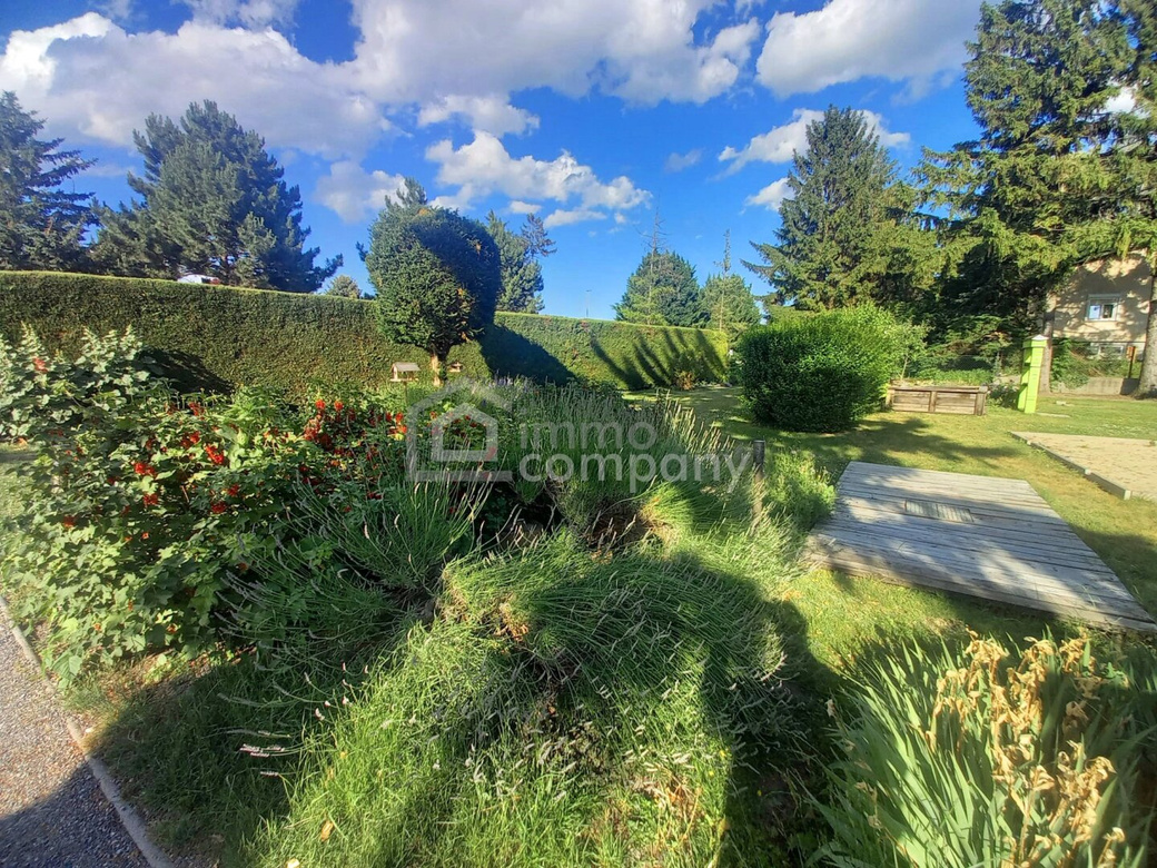 Nahe Hainburg & Bratislava – Haus mit großem Garten auf 1.041 m² & Ausbaureserve – Foto 11