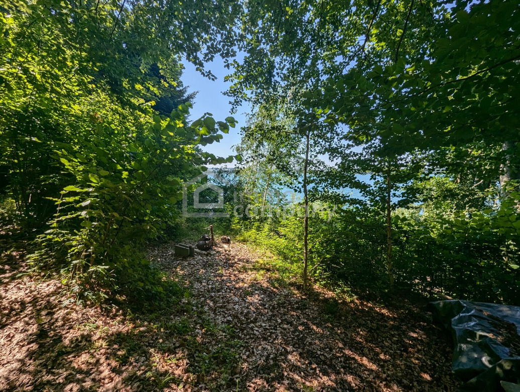 Traumhaftes Seegrundstück in Mattsee - 861m² pure Erholung in Salzburg! – Foto 8