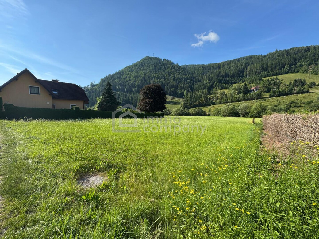 Baugrundstück mit Bergpanorama in St. Kathrein an der Laming – 1.070 m² – Foto 3