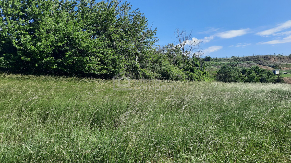 Großer Grund (4392 m²) in Thallern – Foto 3