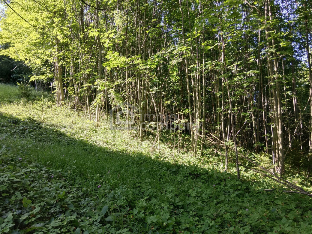 Ihr Grundstück in Hanglage mit absolutem Grünblick – Foto 3