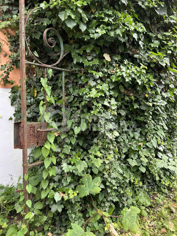 Einzigartiges Immobilienjuwel in bester Salzburger Lage – Jugendstilvilla & moderner Neubau in Kombination – Foto 6