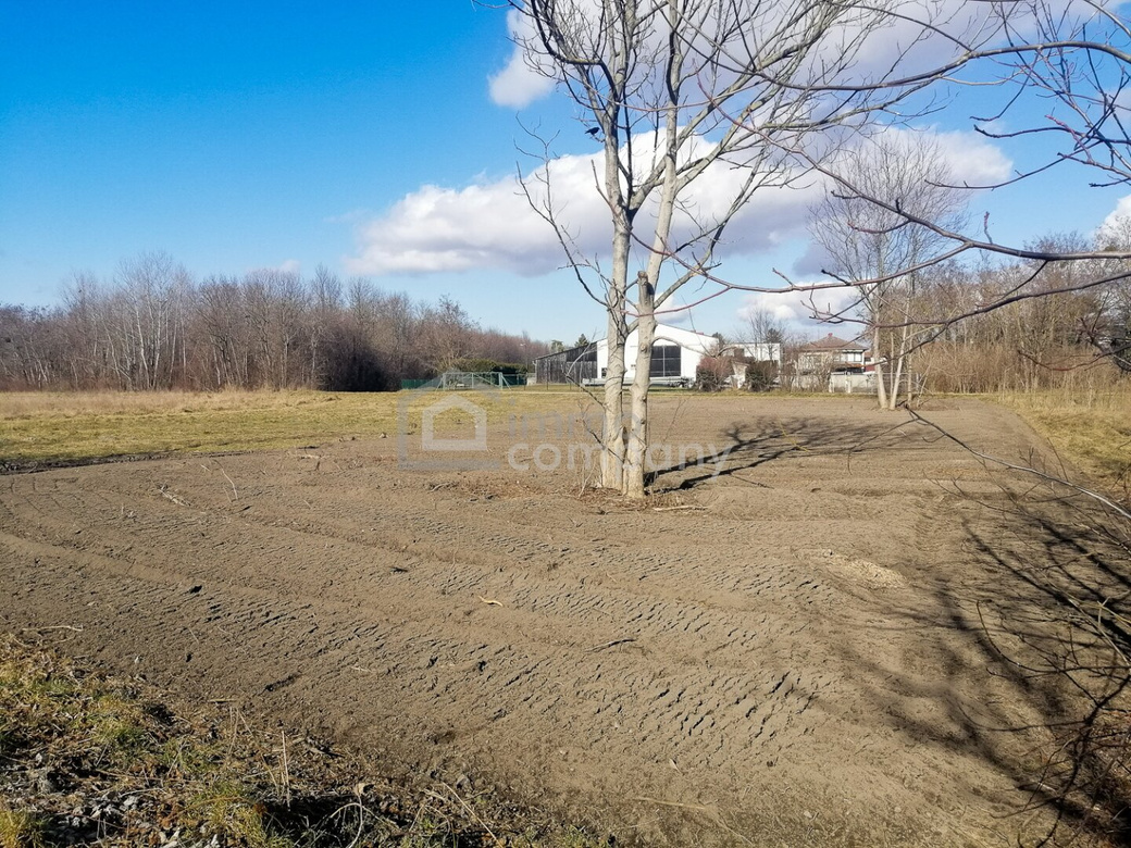 Traumhaftes Baugrundstück in Loimersdorf – 1079 m² für Ihre Zukunft! – Foto 2