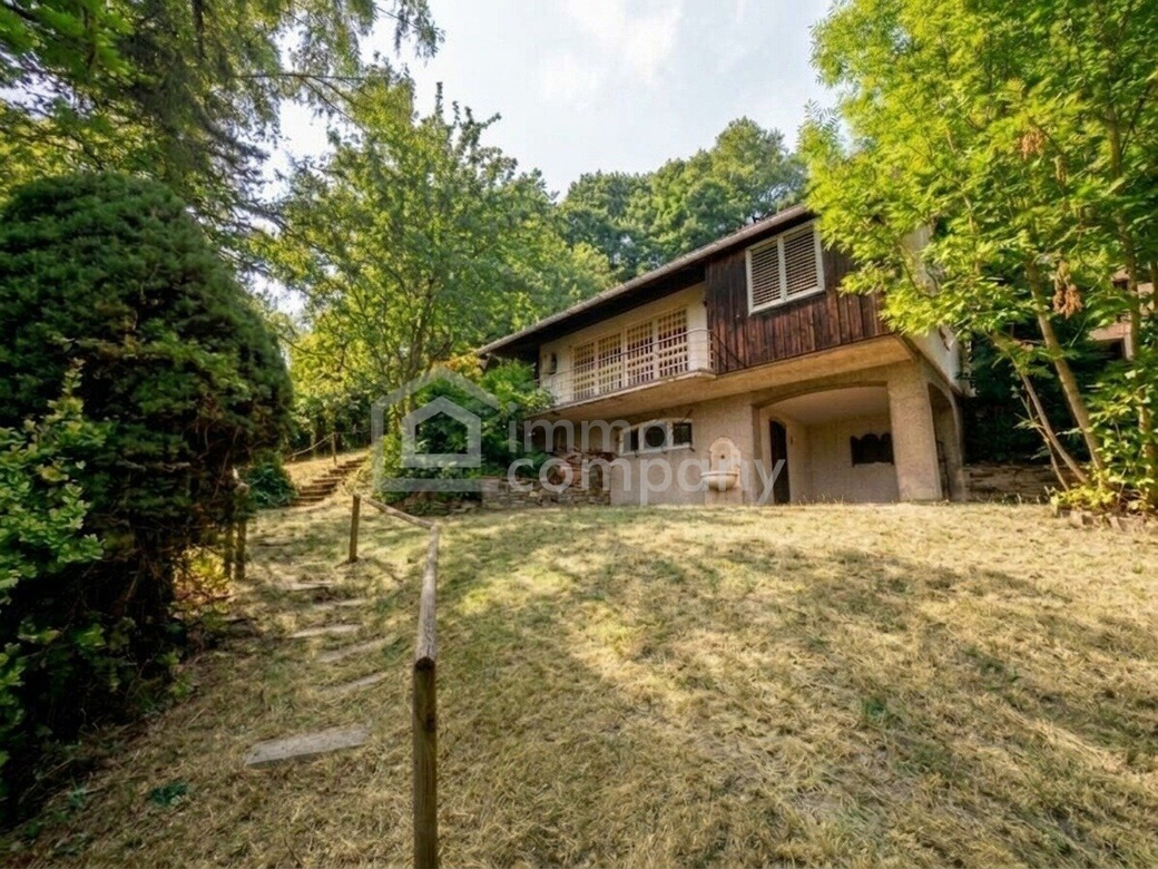 Großes GRUNDSTÜCK mit fast 4.000 m² in Ruhelage mit viel Potential im sonnigen SÜDHANG nahe WIEN – Foto 4