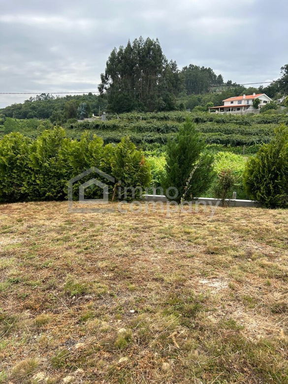 Traumvilla in Castelo de Paiva: Neuwertig, 600m², 5 Zimmer – Ihr neues Zuhause für 1,2 Mio. €! – Foto 5