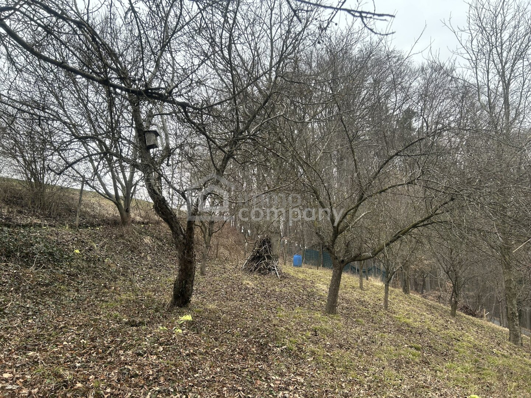 Sanierungsbedürftiger Streckhof mit Potenzial in schöner Höhen-bzw. Aussichtslage – Foto 5