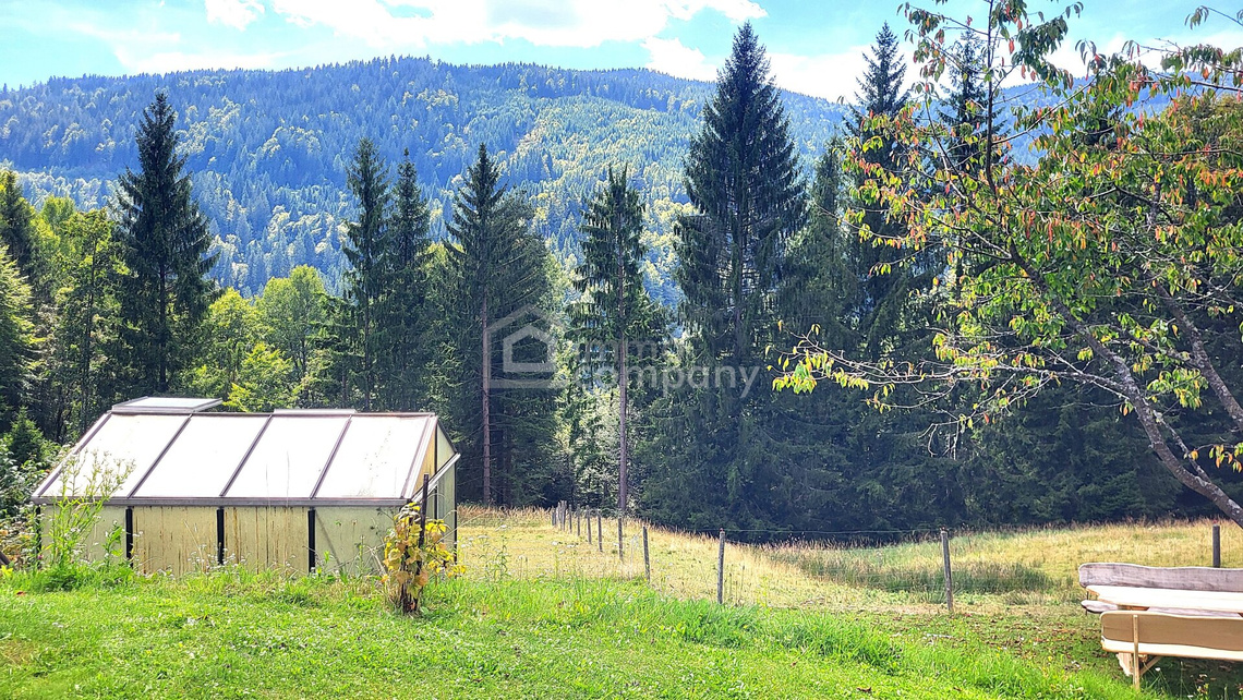 Preisreduktion! Ca. 11.000 m² großes Anwesen direkt am Waldrand mit Panoramablick - fast wie Alleinlage! – Foto 3
