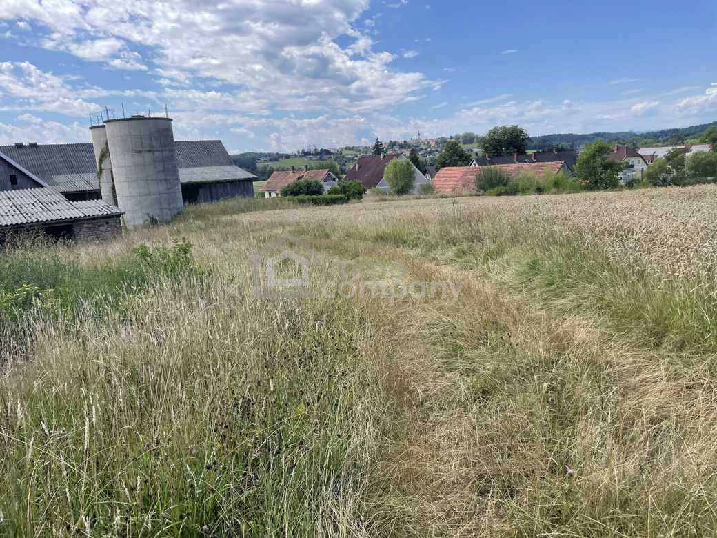 Historisches Anwesen mit rund 8.170 m² Bauland (Dorfgebiet) * Raum für Wohnen, Geschichte und neue Ideen – Foto 4