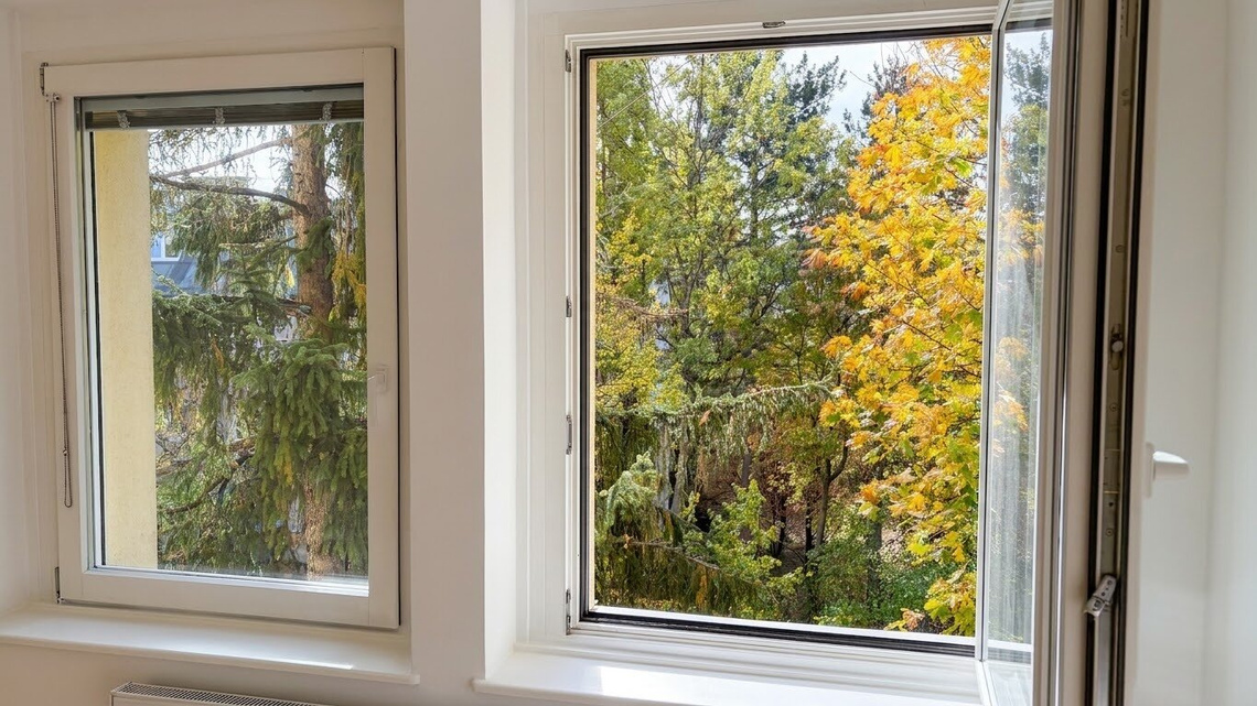 Sonnige, teilsanierte 2-Zimmer-Wohnung mit traumhaftem Grünblick! – Foto 6