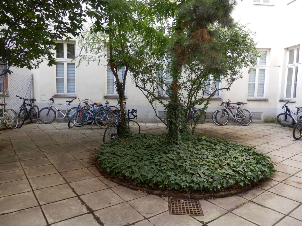 Überraschend großzügig: 62 m² Garconniere mit separater Küche - GLEICH BEI U3 KARDINAL-NAGL-PLATZ – Foto 11