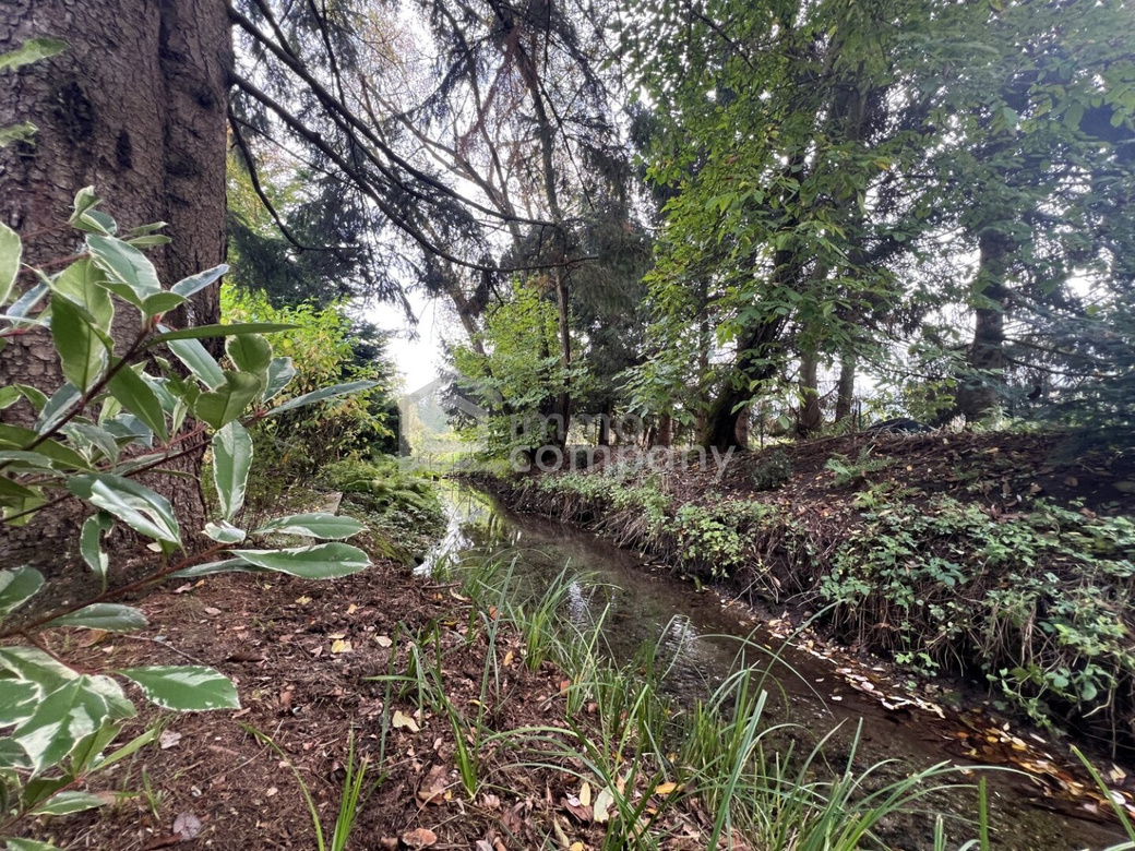 Top-renovierter Wohntraum mit 2000 m² Gartenparadies,Teich und Bachlauf – Foto 6