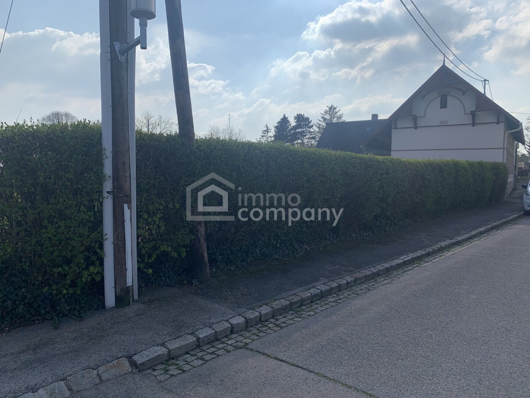 Ebenerdiges Grundstück kommt in Bockfließ zum Verkauf – Foto 3